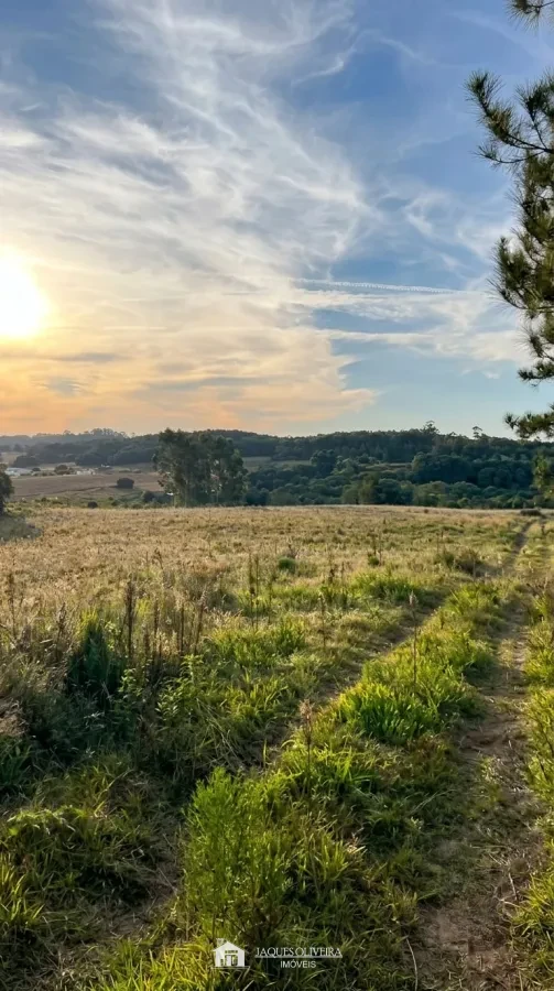 Área para Arrendamento a 3 KM da cidade - Zona Rural - 1° Disrito, Canguçu [3928]