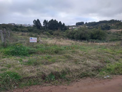Imagem de Exelente terreno