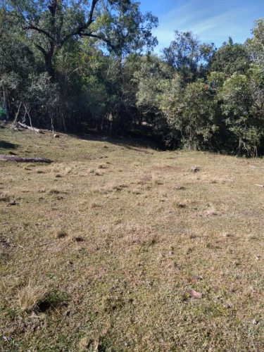 Imagem de Sitio com benfeitorias