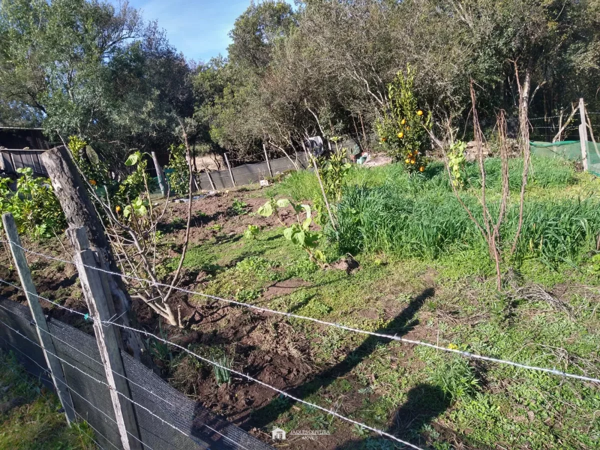 Sitio com benfeitorias - Zona Rural, Piratini [3973]
