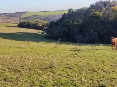 Imagem de Área rural em Santana da Boa Vista