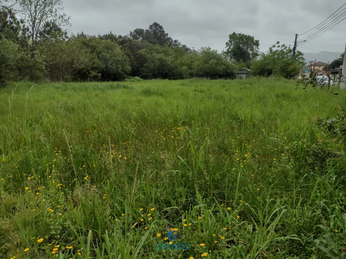 Imagem de Terreno Amplo no Bairro São José