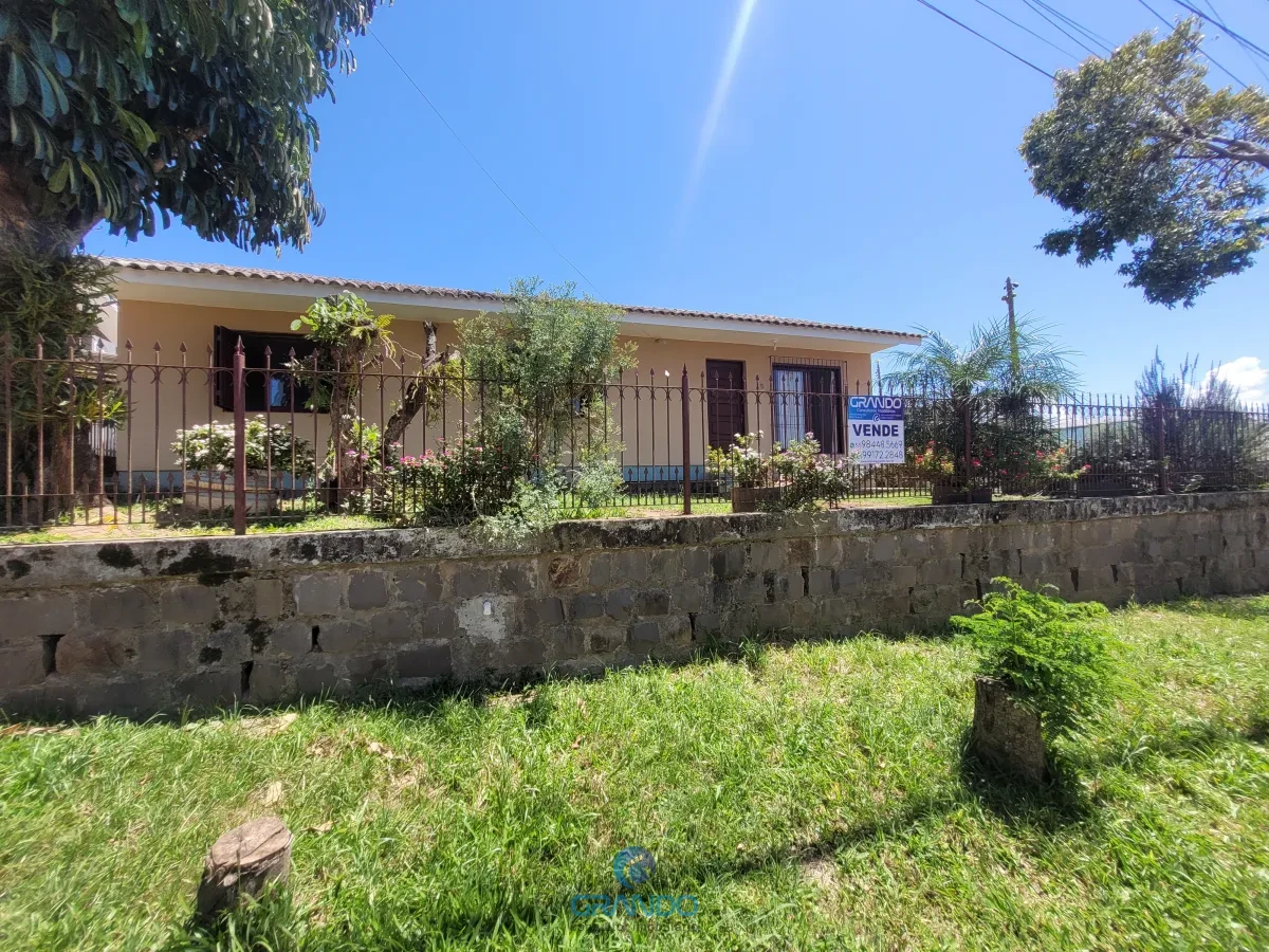 Imagem de Casa na Parque Pinheiro Machado com 4 dormitórios, piscina e um enorme  pomar