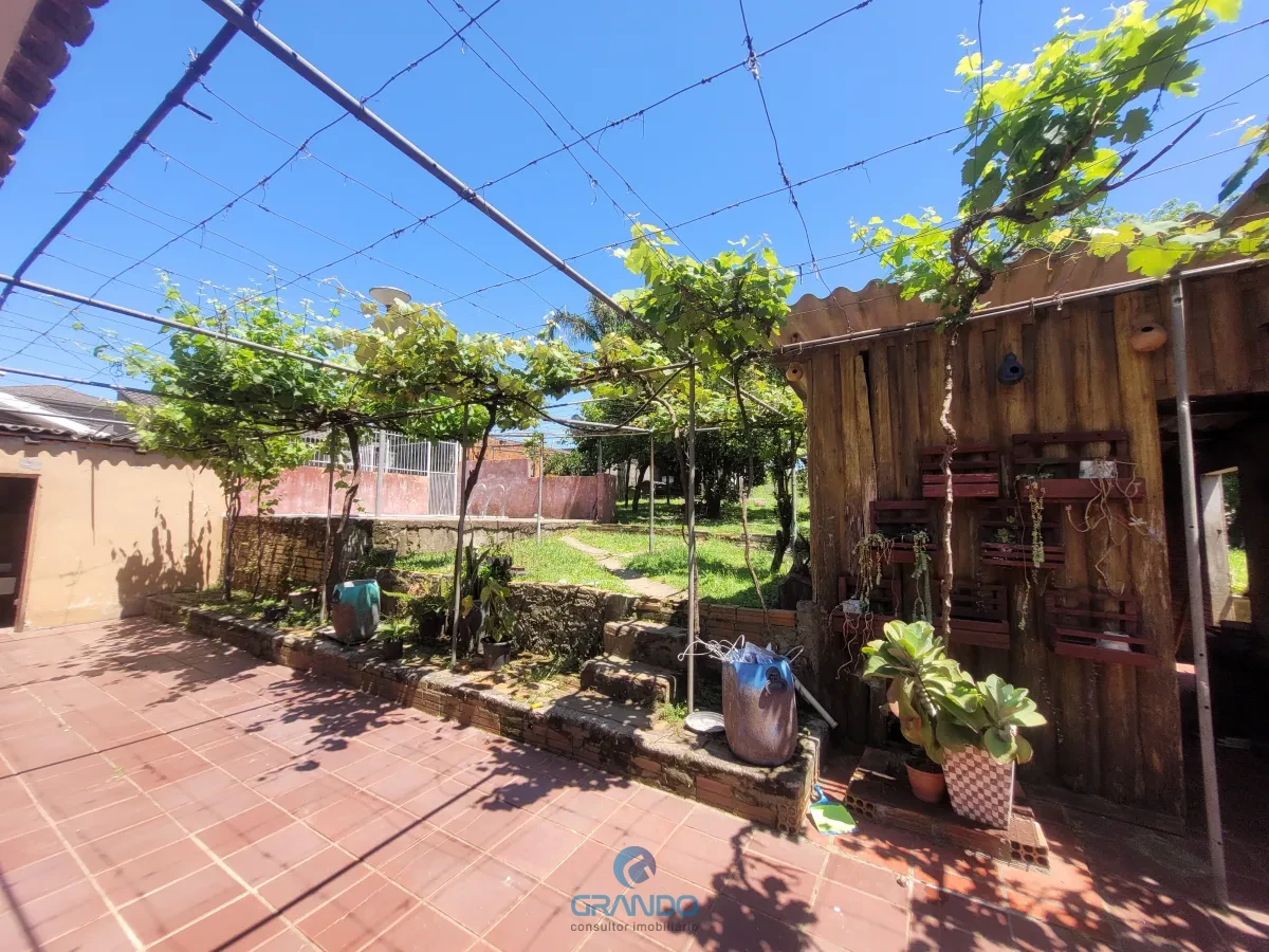 Imagem de Casa na Parque Pinheiro Machado com 4 dormitórios, piscina e um enorme  pomar