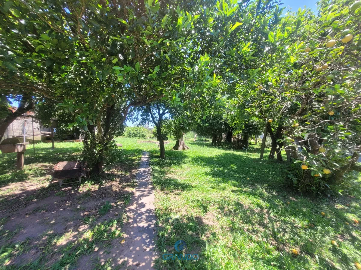 Imagem de Casa na Parque Pinheiro Machado com 4 dormitórios, piscina e um enorme  pomar