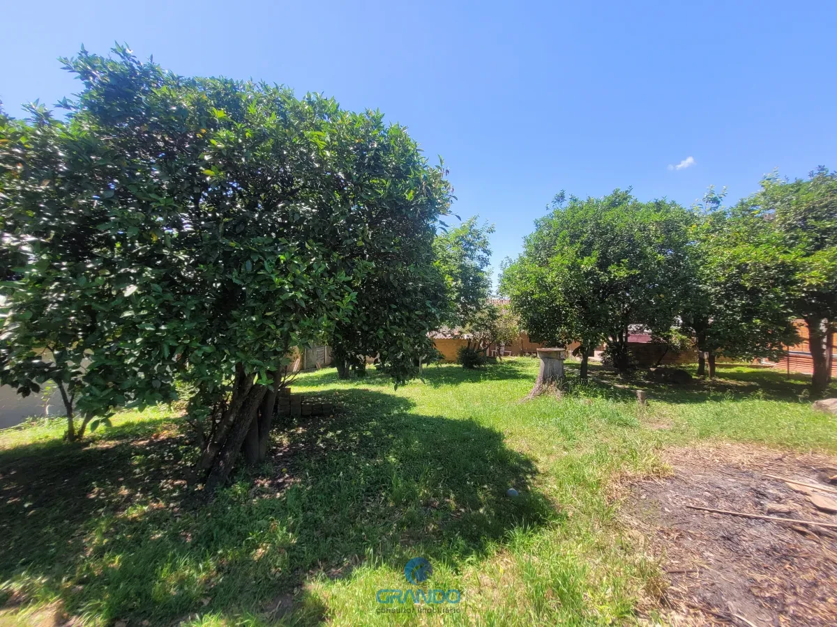 Imagem de Casa na Parque Pinheiro Machado com 4 dormitórios, piscina e um enorme  pomar