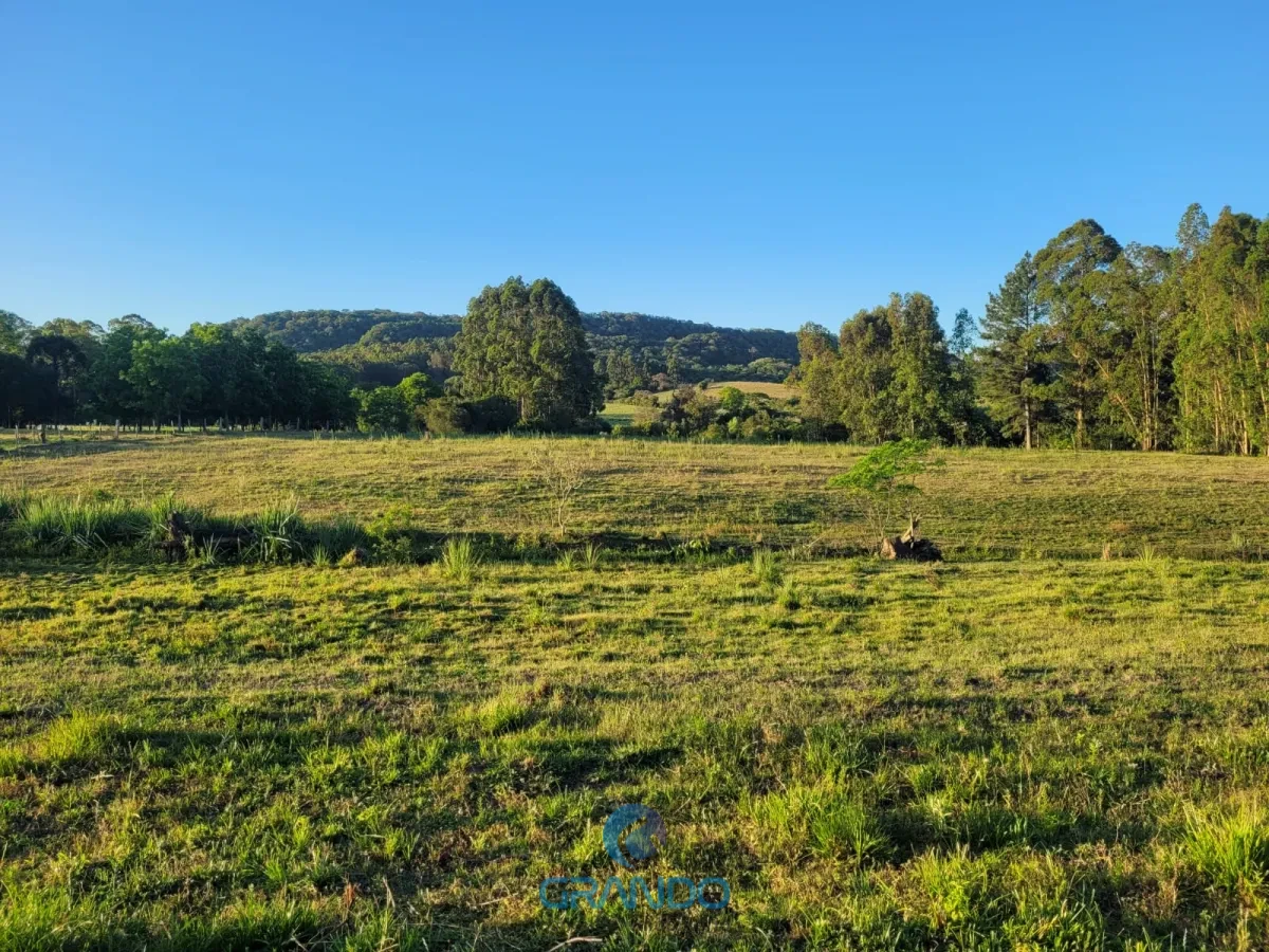 Imagem de Chácara em Boca do Monte