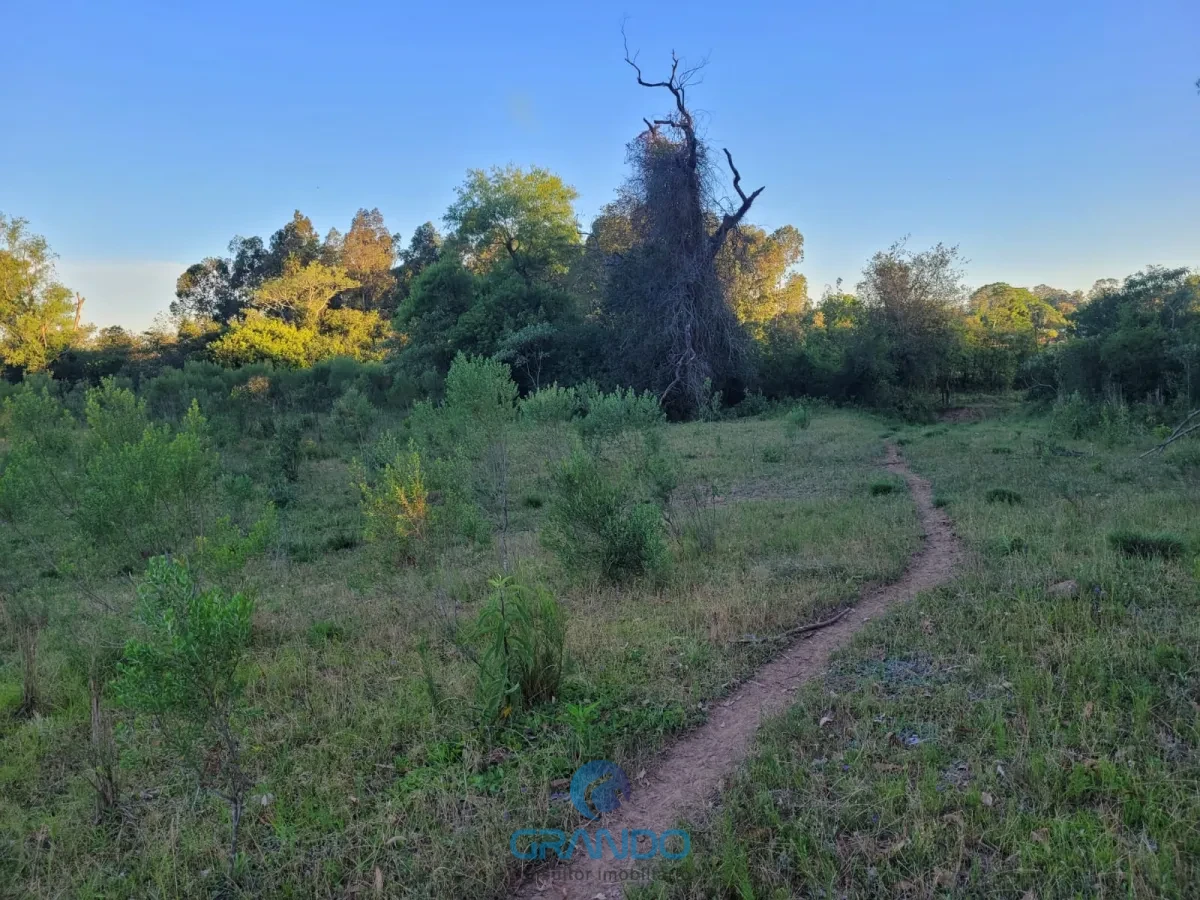 Imagem de Chácara em Boca do Monte