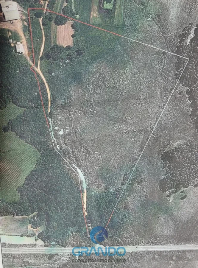 Imagem de 4 Hectares a 400 metros da ULBRA (BR 287) para venda