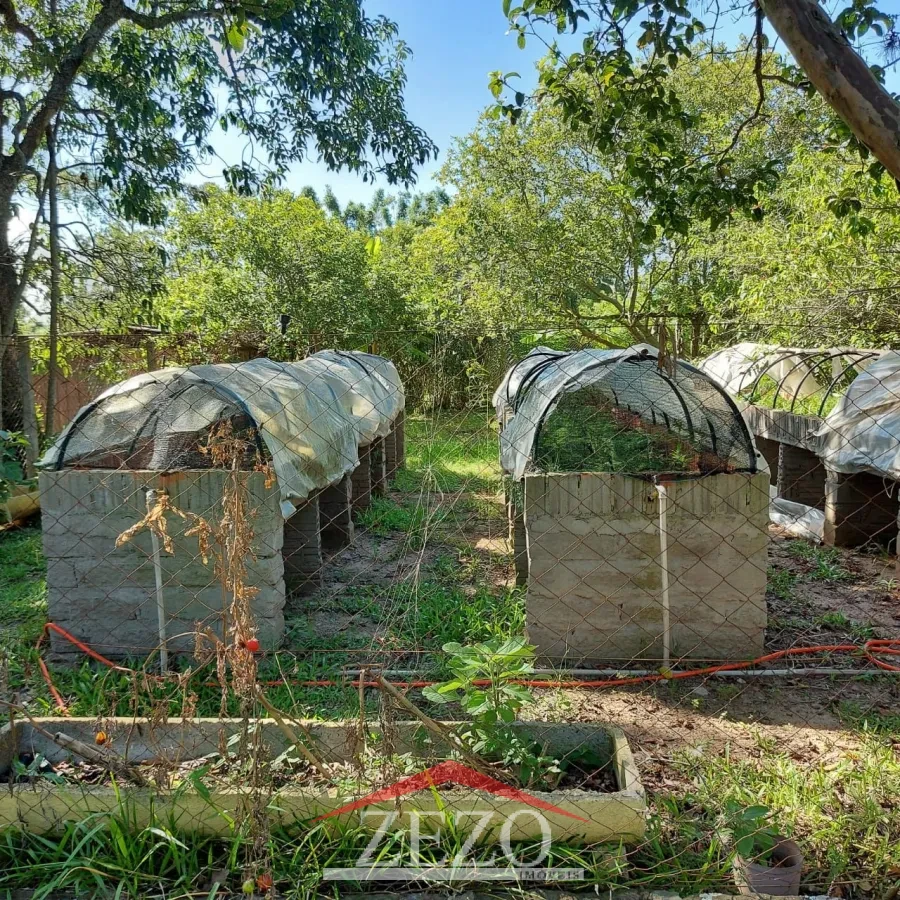 Imagem de Encantadora Fazenda à Venda: Um Paraíso Escondido