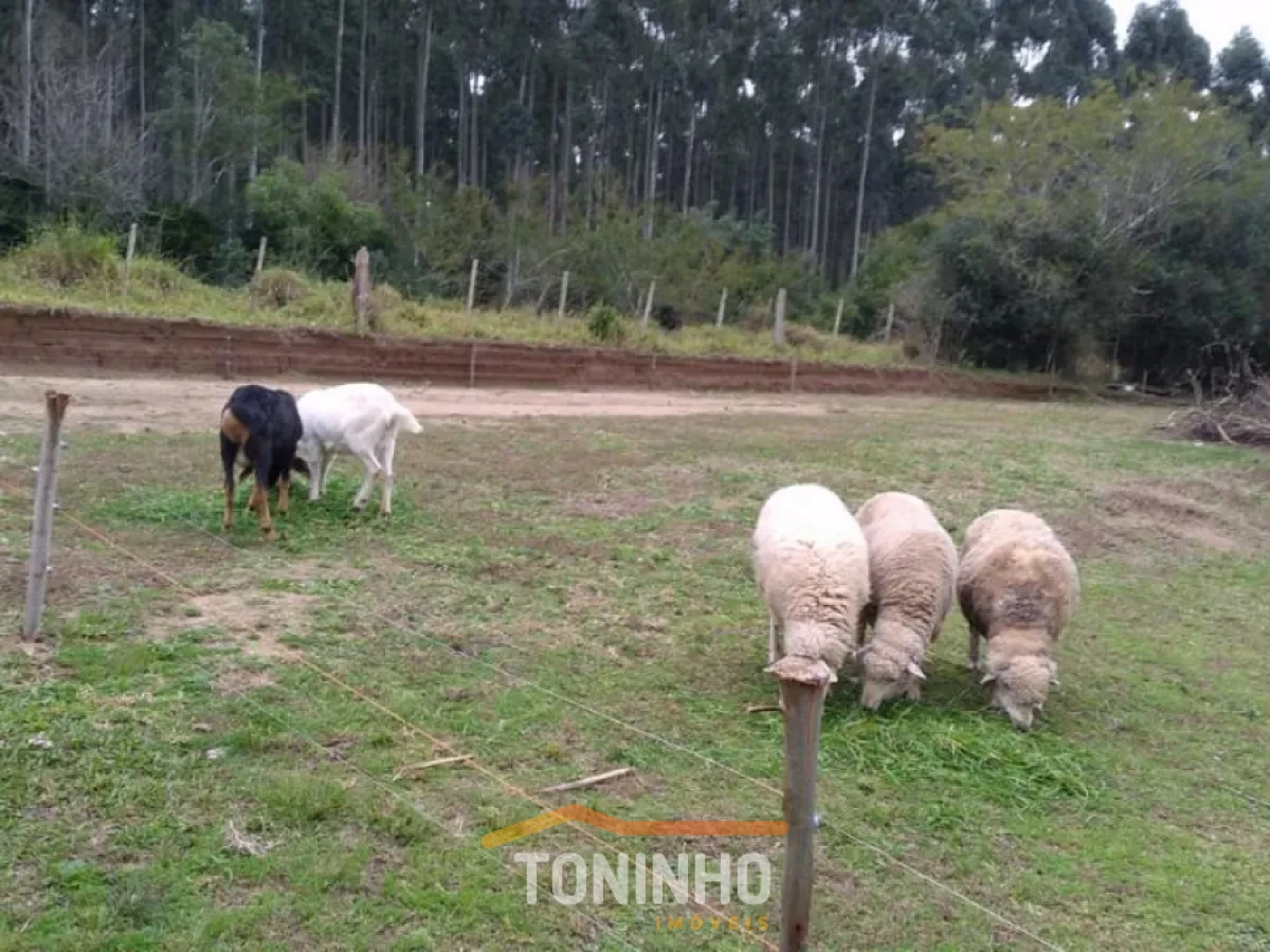 Imagem de IMÓVEL EM ÁREA RURAL