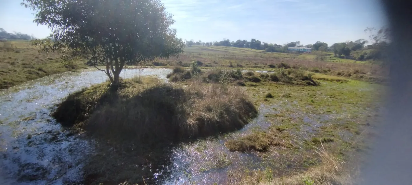 Imagem de SÍTIO EM SÃO JERONIMO