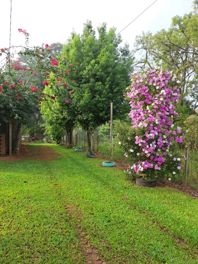 Imagem de linda chácara