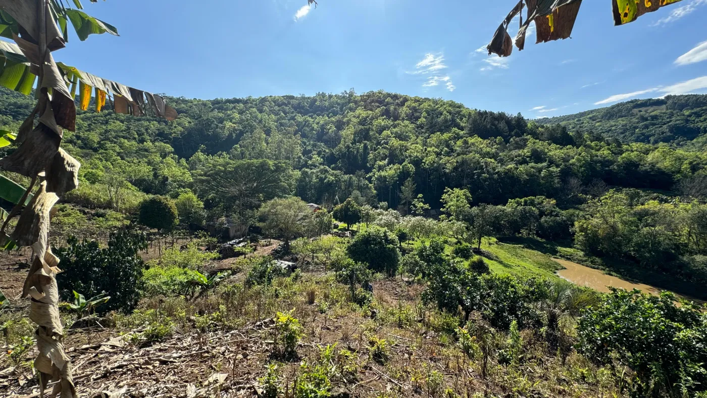 Imagem de SITÍO A VANDA COM PORTEIRA FECHADA