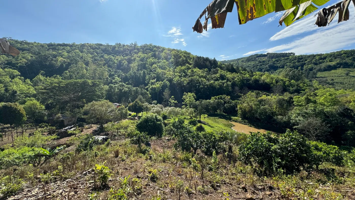 Imagem de SITÍO A VANDA COM PORTEIRA FECHADA