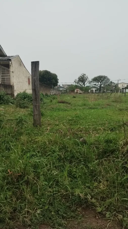 Imagem de terreno no bairro Petrópolis