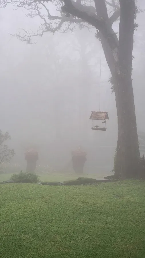 Imagem de Sítio na localidade de Figueira