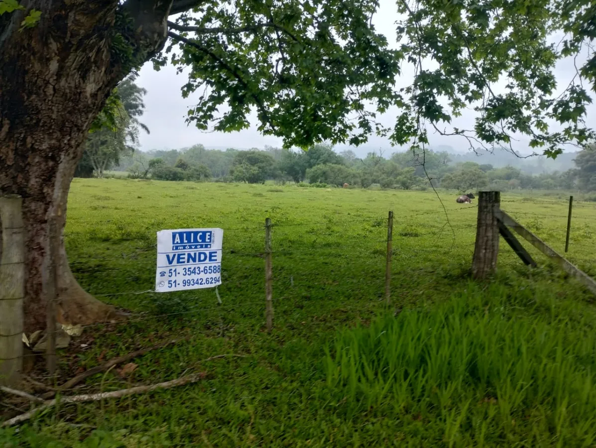 Imagem de terreno no bairro Tucanos