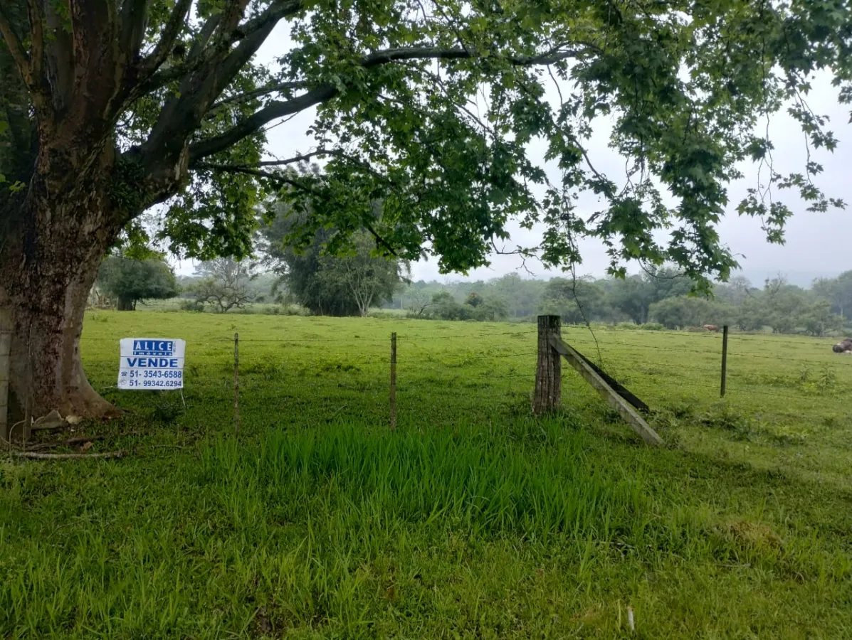 Imagem de terreno no bairro Tucanos