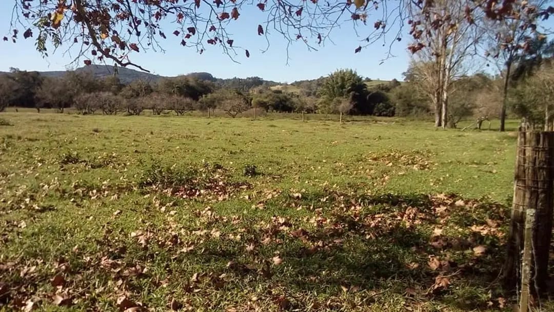 Imagem de terreno no bairro Tucanos