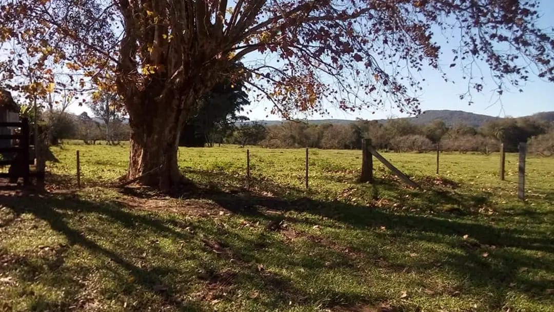 Imagem de terreno no bairro Tucanos