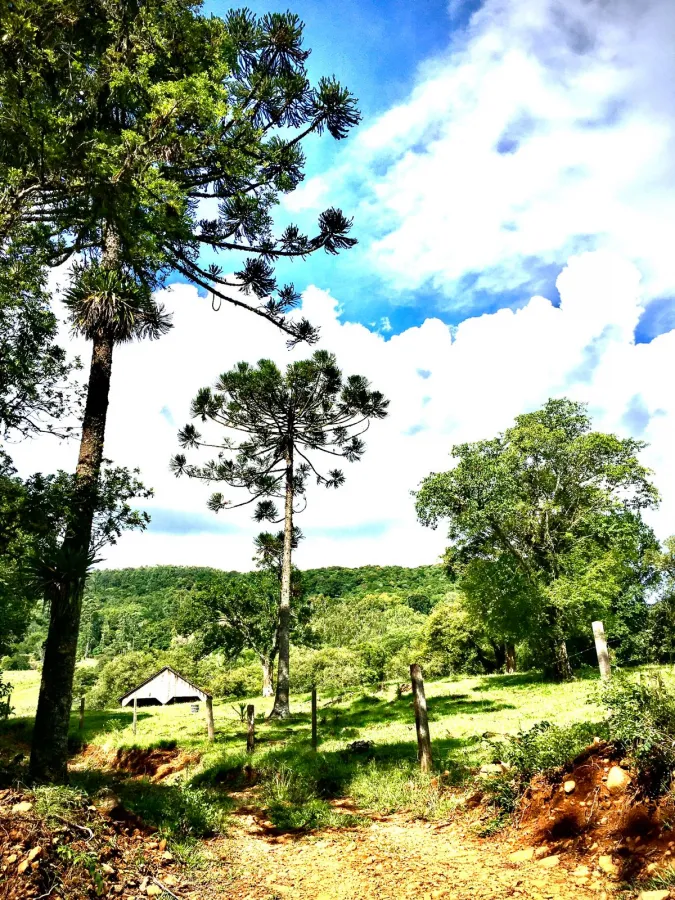 Imagem de lindo sitio a venda.