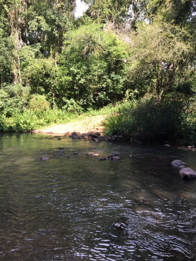 Imagem de lindo sitio a venda.