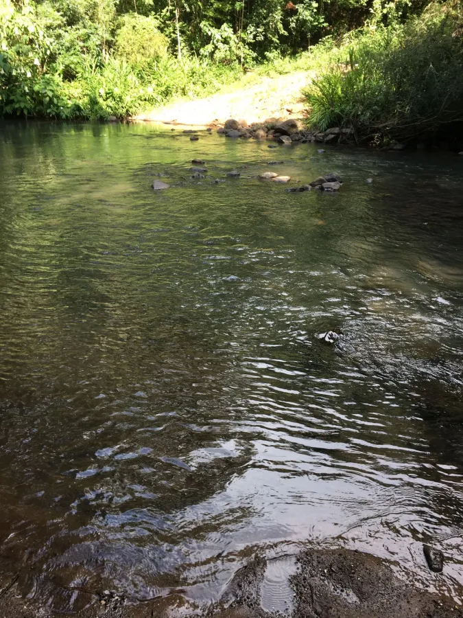 Imagem de lindo sitio a venda.