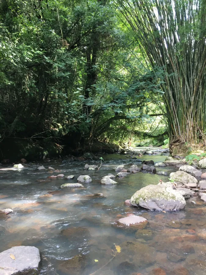 Imagem de lindo sitio a venda.