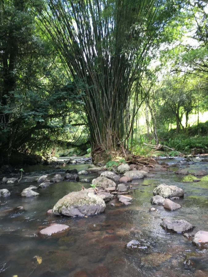 Imagem de lindo sitio a venda.