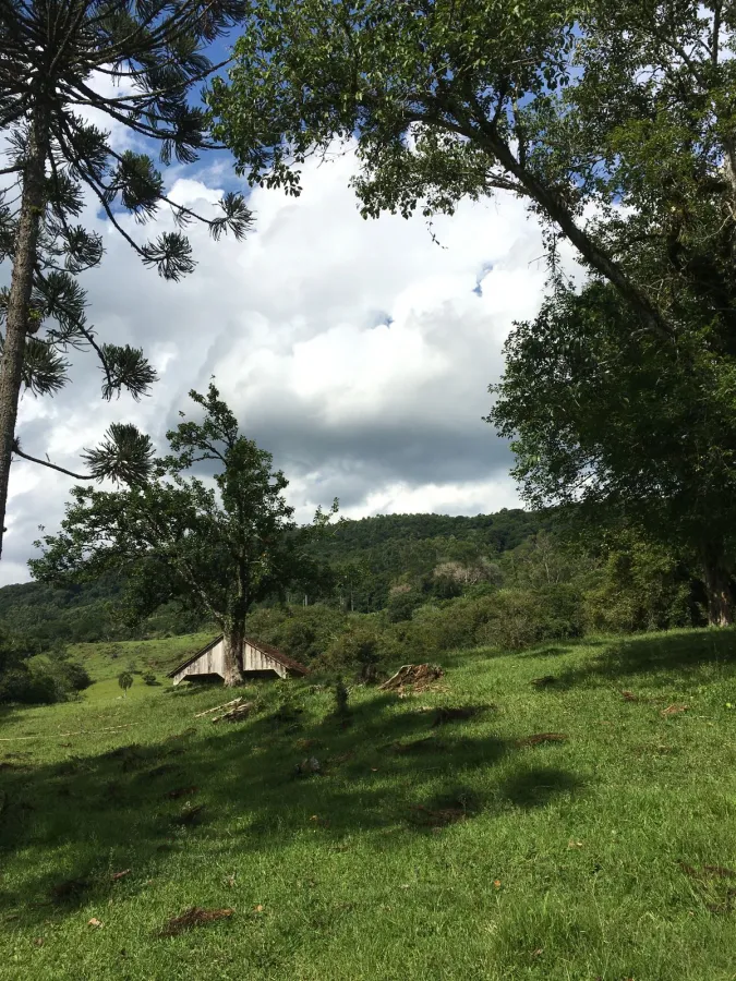 Imagem de lindo sitio a venda.