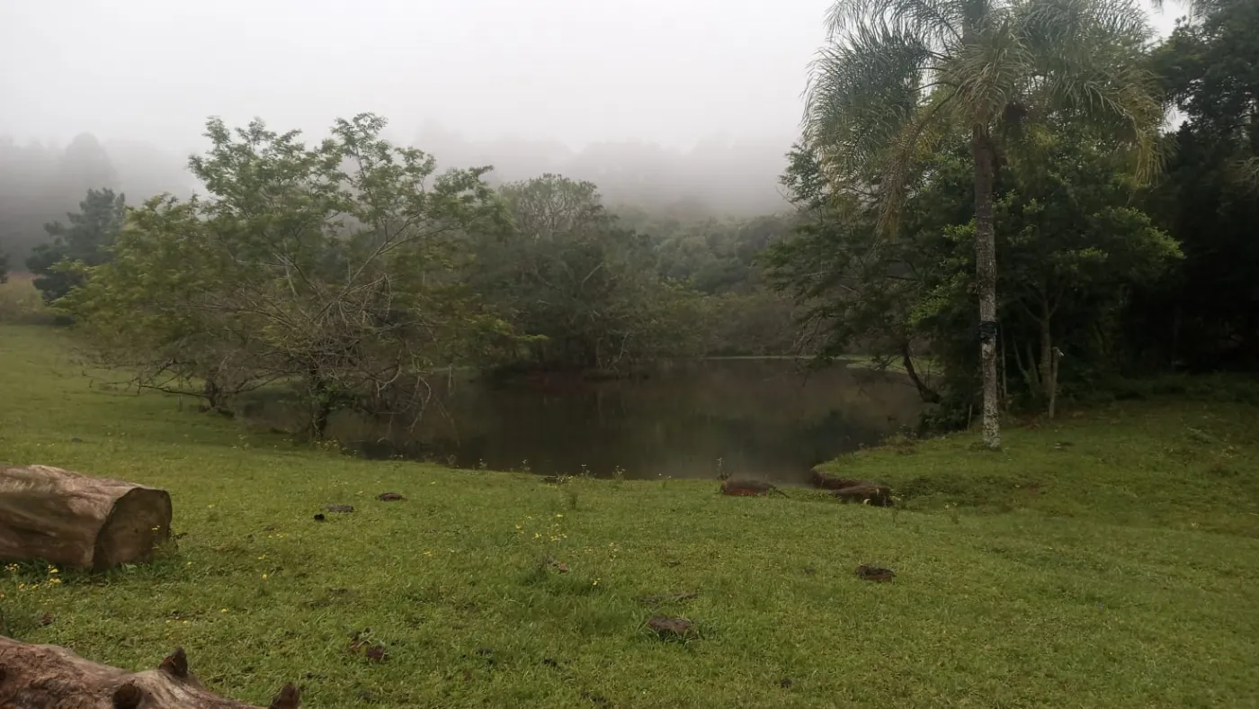 Imagem de Sítio em Fazenda Fialho