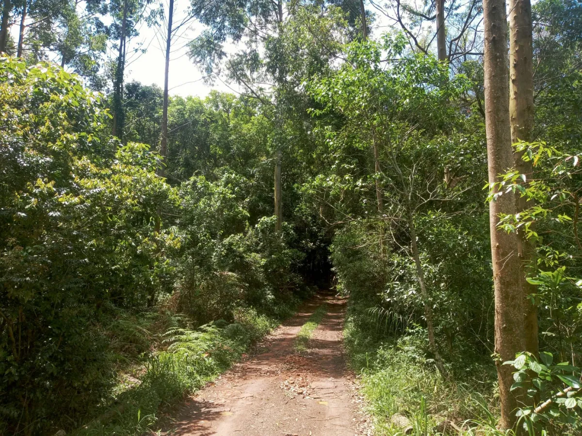 Imagem de Sítio em Fazenda Fialho