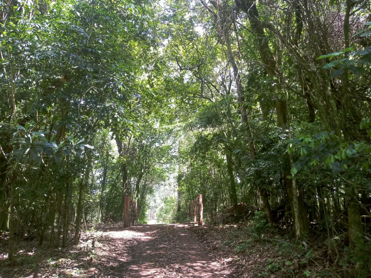 Imagem de Sítio em Fazenda Fialho