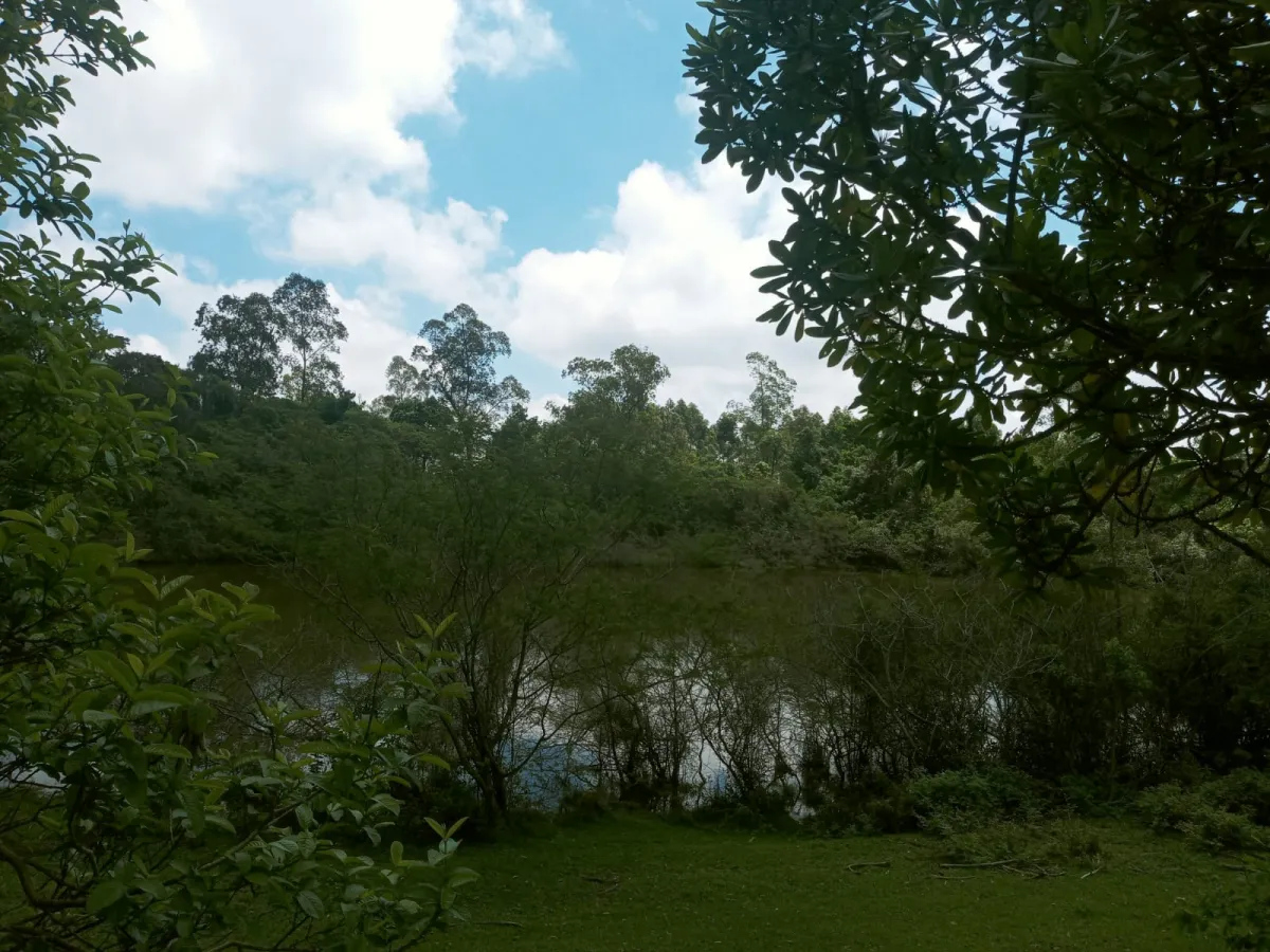 Imagem de Sítio em Fazenda Fialho