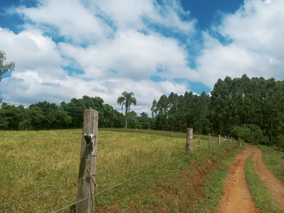 Imagem de Sítio em Fazenda Fialho