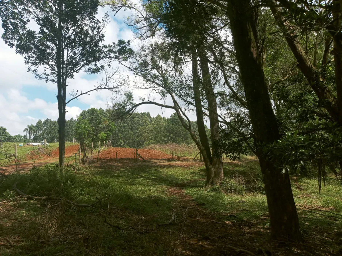 Imagem de Sítio em Fazenda Fialho