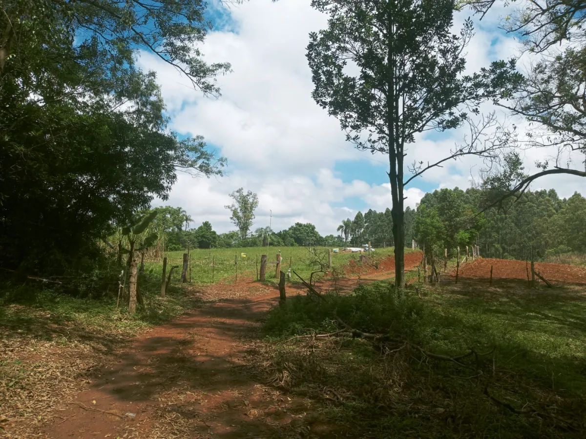 Imagem de Sítio em Fazenda Fialho