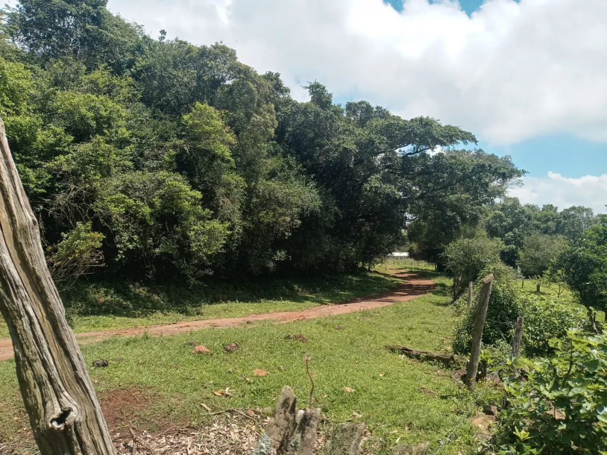 Imagem de Sítio em Fazenda Fialho