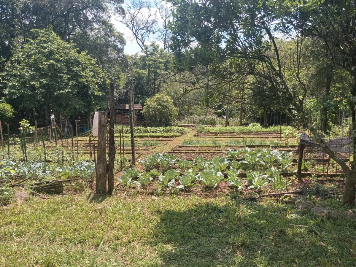 Imagem de Sítio em Fazenda Fialho