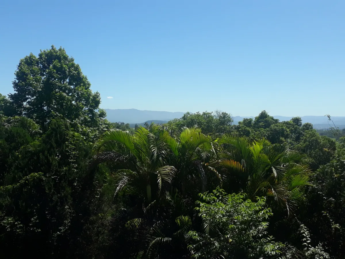 Imagem de Sítio à Venda em Taquara: Refúgio Naturista em Meio à Natureza