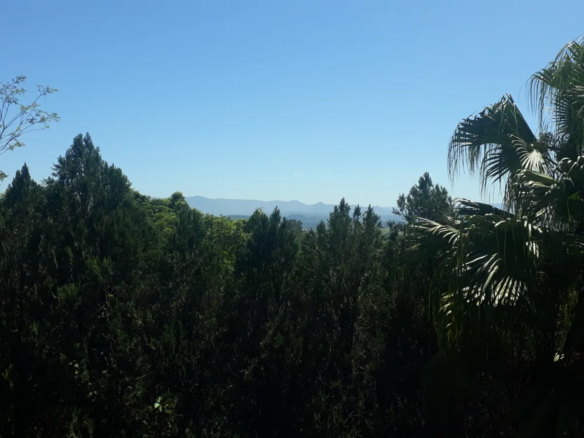 Imagem de Sítio à Venda em Taquara: Refúgio Naturista em Meio à Natureza