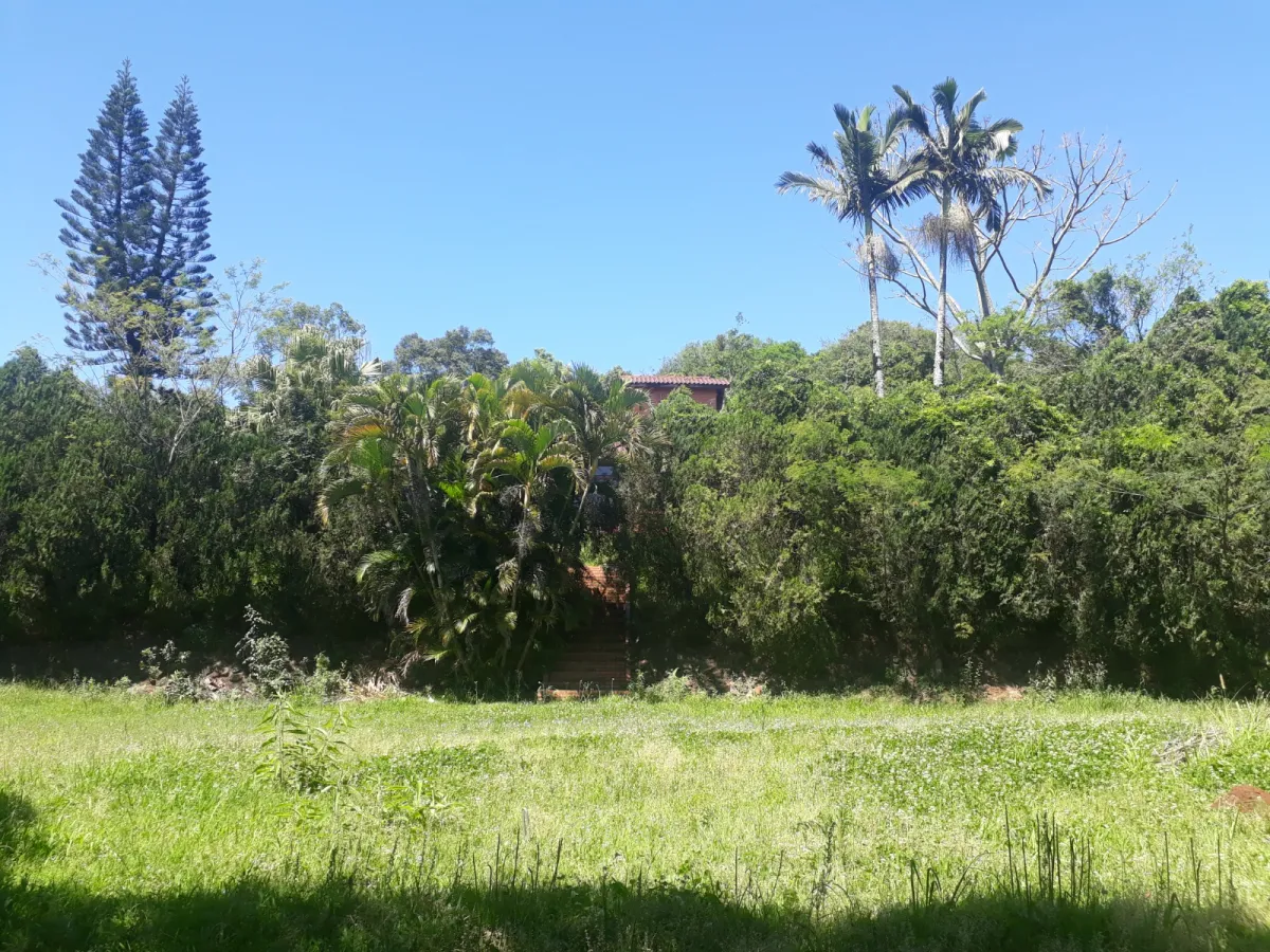 Imagem de Sítio à Venda em Taquara: Refúgio Naturista em Meio à Natureza