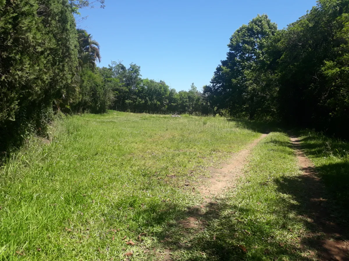 Imagem de Sítio à Venda em Taquara: Refúgio Naturista em Meio à Natureza