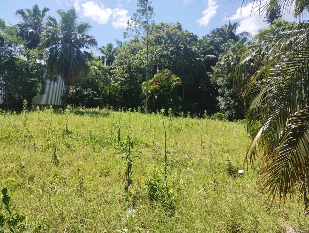 Imagem de Terreno em Tristao Monteiro bairro Petrópolis