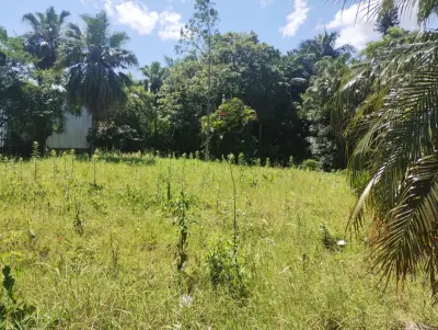 Imagem de Terreno em Tristao Monteiro bairro Petrópolis