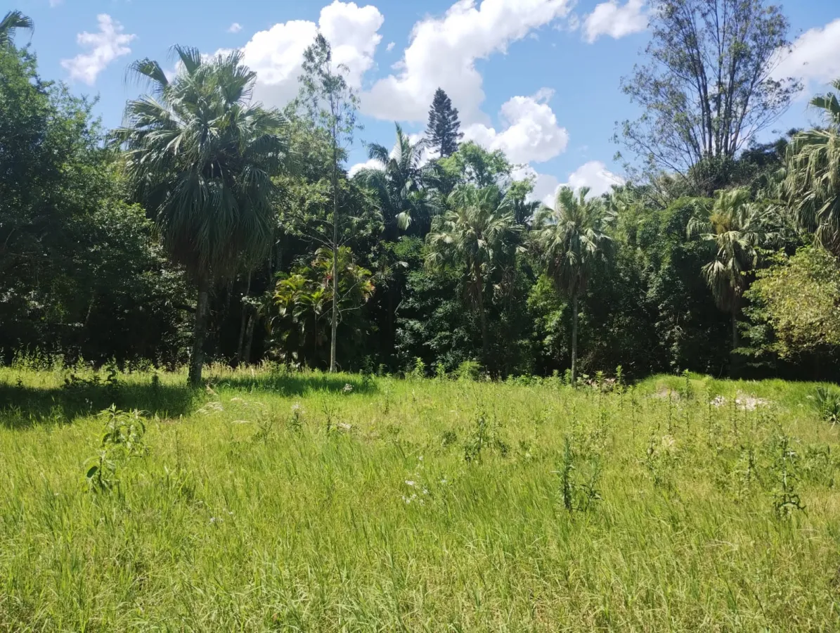 Imagem de Terreno em Tristao Monteiro bairro Petrópolis