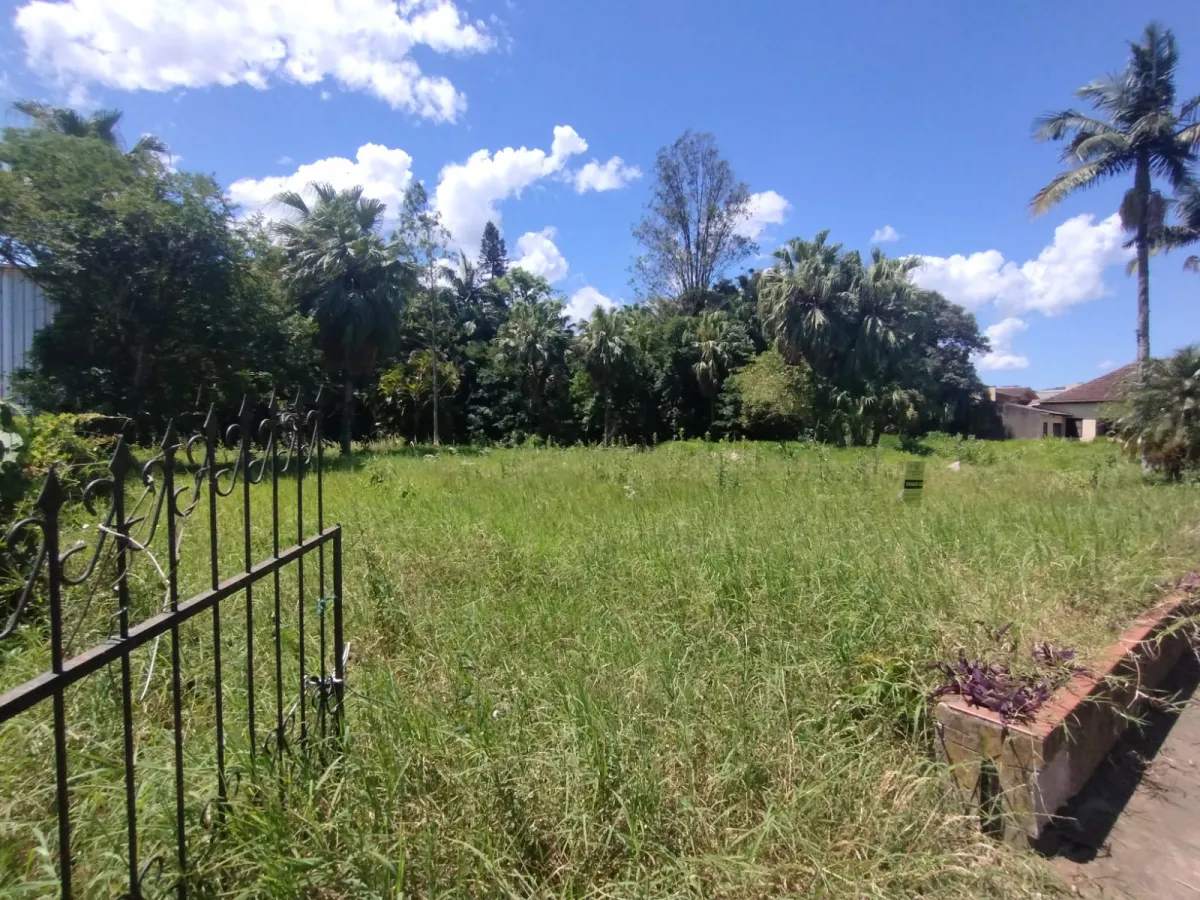 Imagem de Terreno em Tristao Monteiro bairro Petrópolis