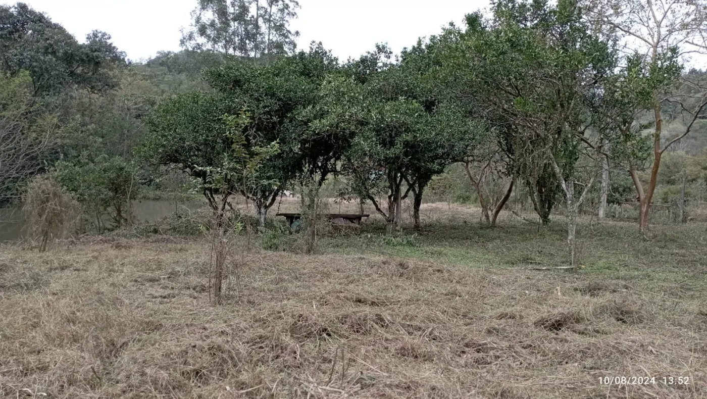 Imagem de Viva em Harmonia com a Natureza: Sítio à Venda em Taquara