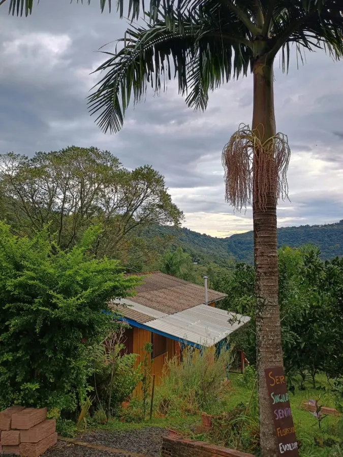 Imagem de Sítio Encantador em Taquara com Ampla Área Verde